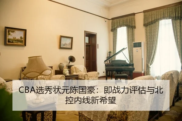 CBA选秀状元陈国豪：即战力评估与北控内线新希望